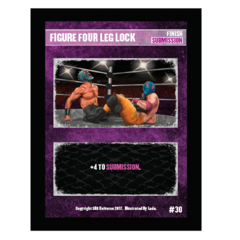 30 - Figure Four Leg Lock